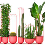 Cacti planteringskÃ¤rl i rosa, grupp 1. Design, Anki Gneib